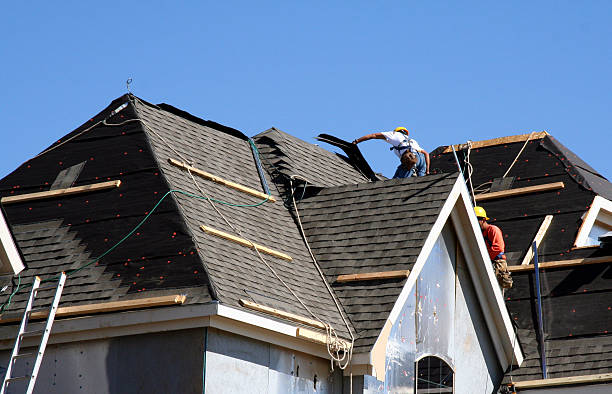 Best Roof Gutter Cleaning  in Gary, IN