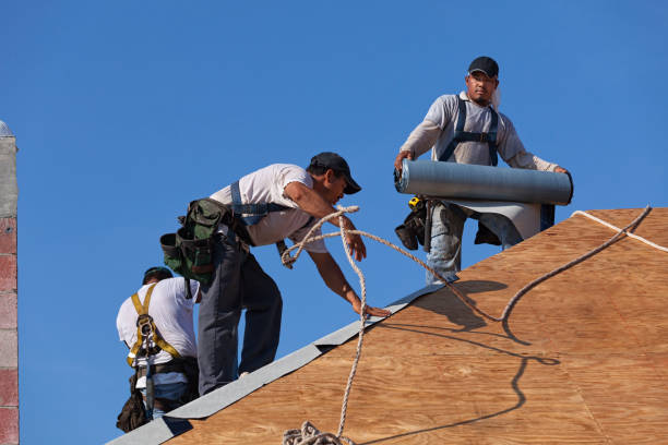 Best Roof Leak Repair  in Gary, IN