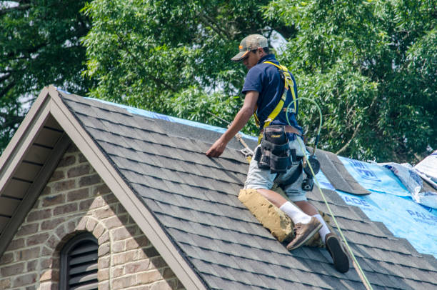 Professional Roofing Contractor in Gary, IN